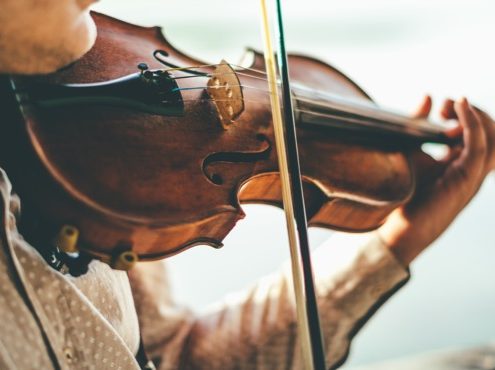 violin