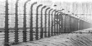 Holocaust Education: Creating a critical bridge between history and empathy