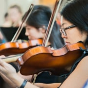 Violinists performing