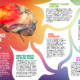 Infographic featuring image of a brain with variety of scientific breakthroughs.