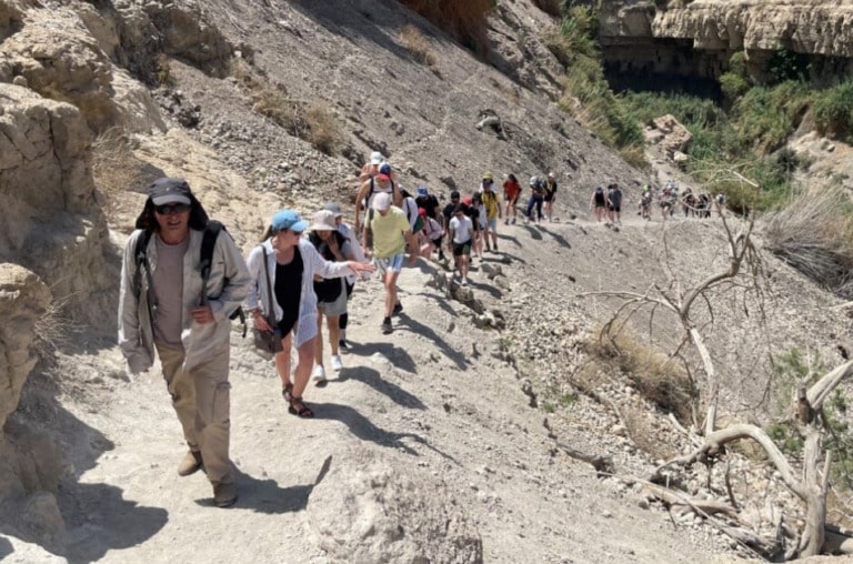A large group of adults hiking up the path of a dry mountain.