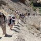 A large group of adults hiking up the path of a dry mountain.